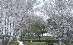 国产女主播白浆在线观看